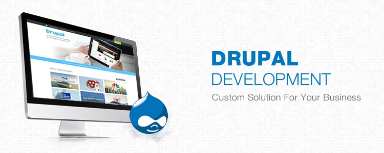 drupal website